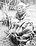 yoda